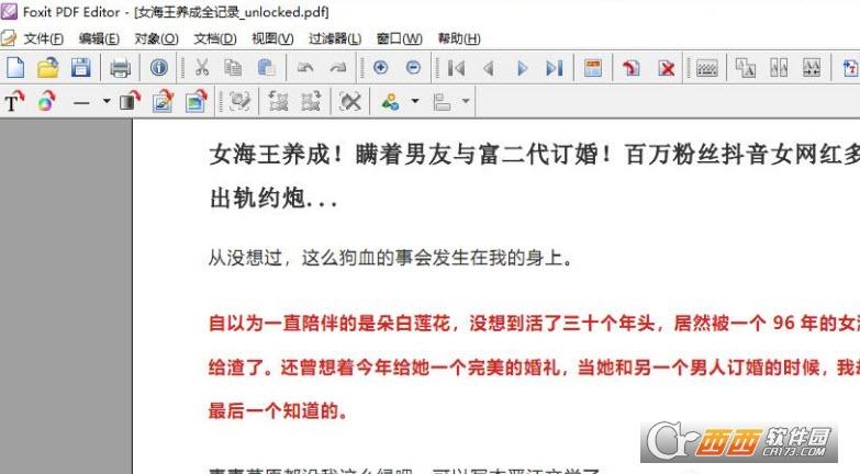 PDF编辑器,格式.